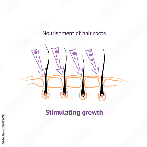 hair healthy growth and nutrition.