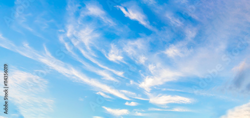 Beautiful of blue sky and group of cloud. White cloud and blue sky. Blue sky background.Beautiful blue sky and white cloud represent the sky and cloud concept related idea. - Panorama Effect