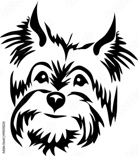 terrier dog - stylized portrait photo