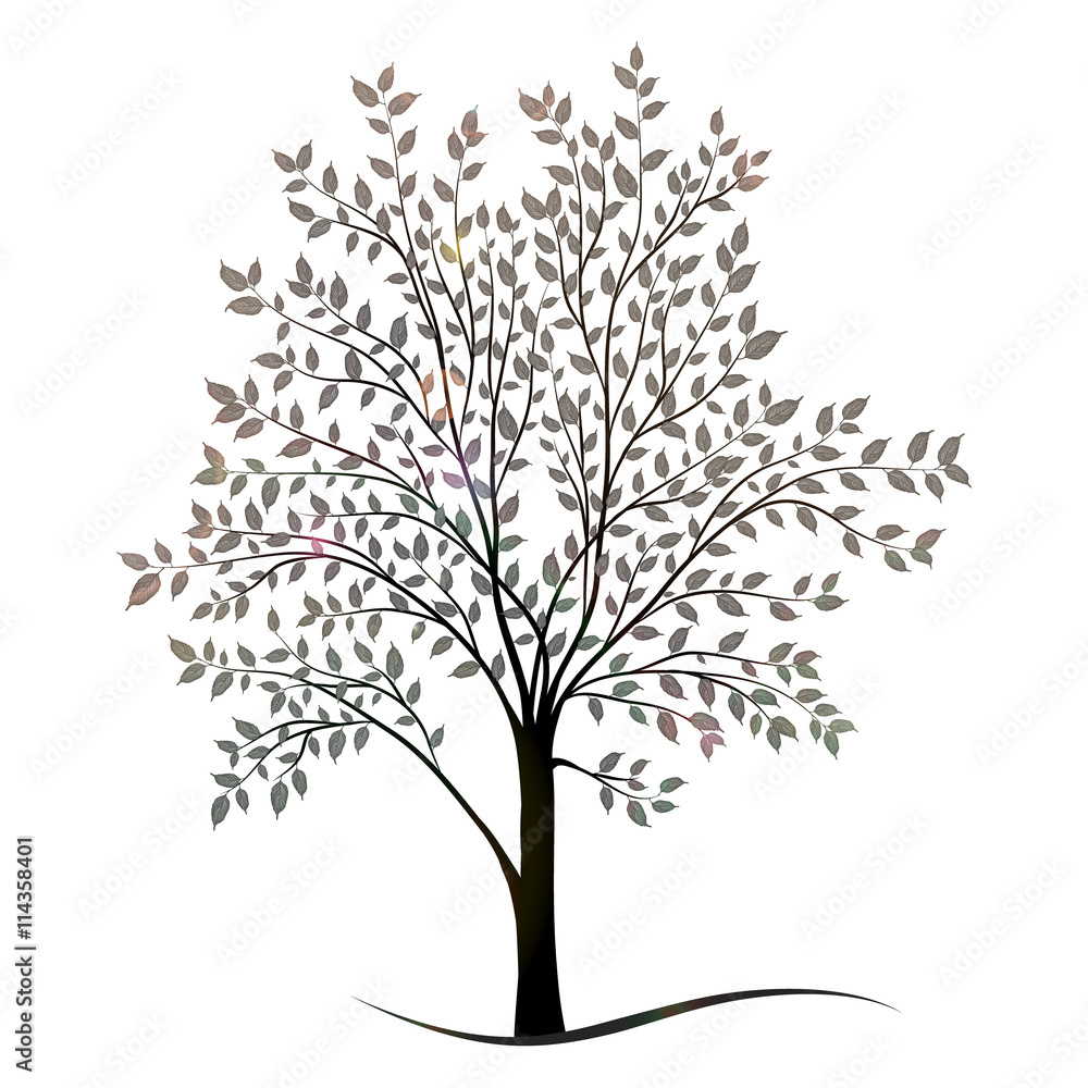 Obraz premium Tree with leaves silhouette