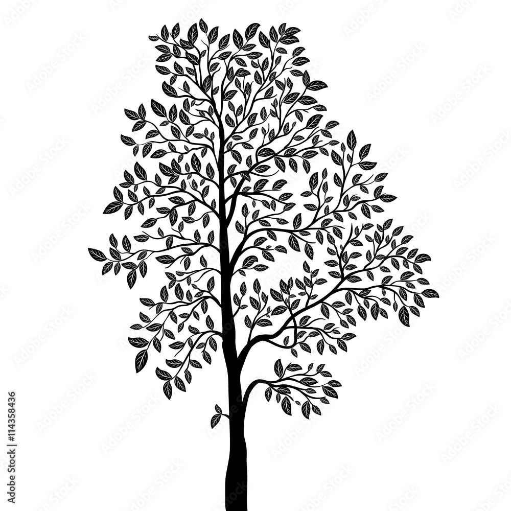 Obraz premium Tree with leaves silhouette