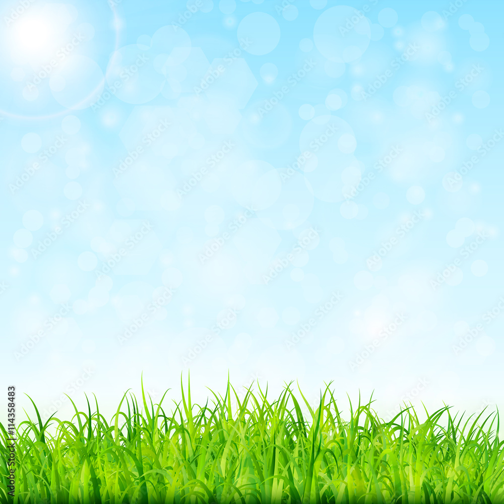 Nature background with green grass and blue sky Nature background with green grass and blue sky