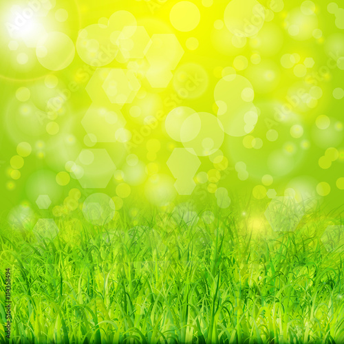 Green summer background with grass