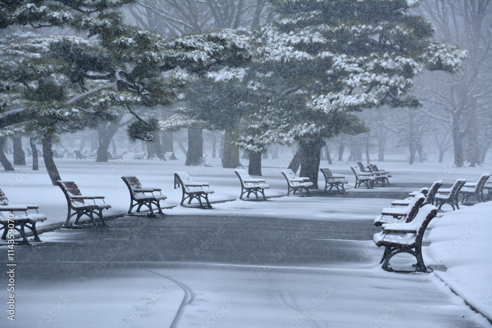 雪が降る皇居前の公園