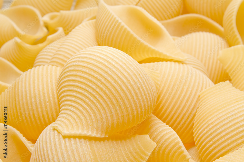 pasta conchiglioni lumaconi pasta conchiglioni lumaconi