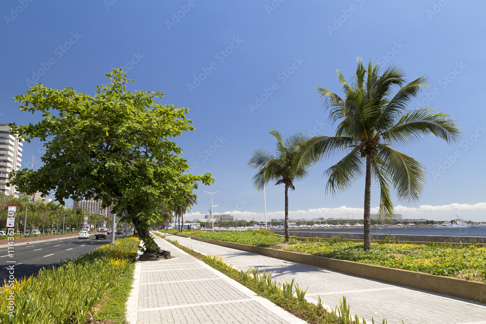 Sunny picture of seaside pathway