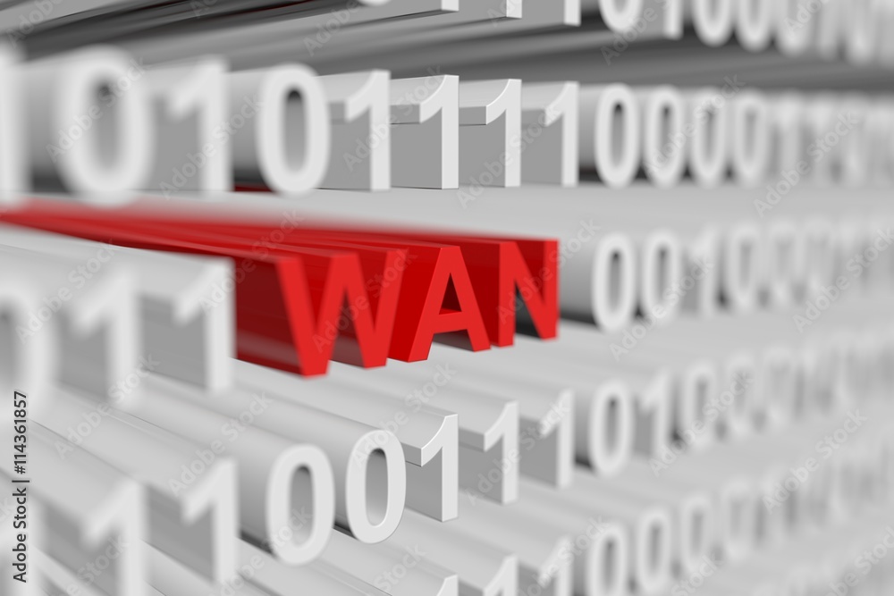 WAN as a binary code with blurred background 3D illustration