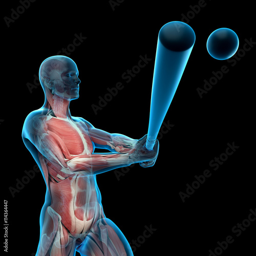 medically accurate 3d illustration of a baseball player