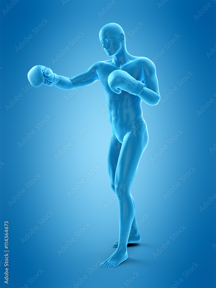 medically accurate 3d illustration of a boxing pose medically accurate 3d illustration of a boxing pose