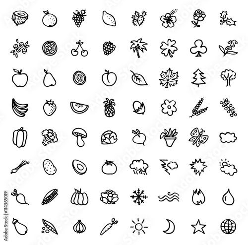 64 black and white hand drawn icons - PLANTS   NATURE