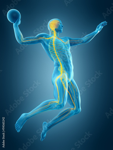 medically accurate 3d illustration of a football player