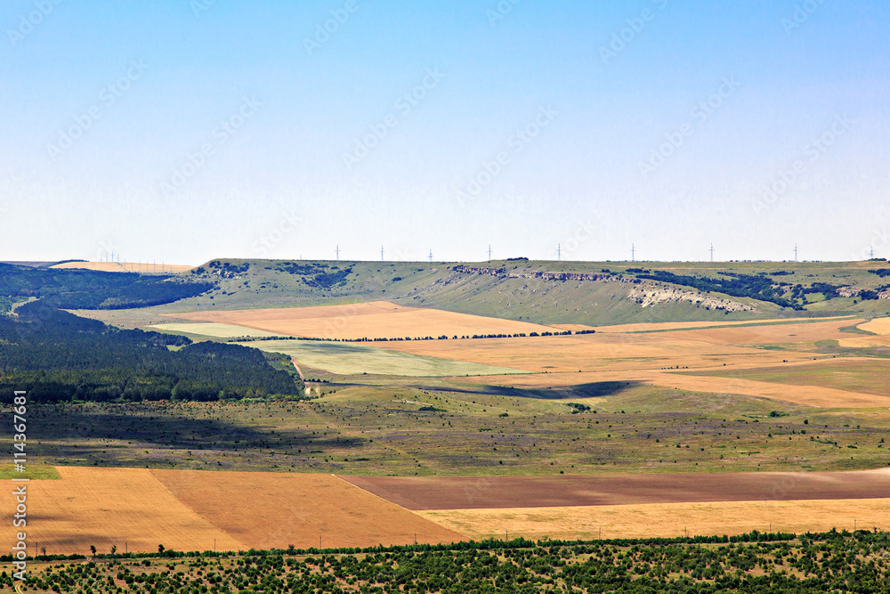 Summer Landscape with a bird's eye view. Well-groomed field