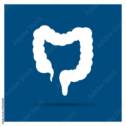 Vector Illustration of a Colon Icon on a Blue Background photo