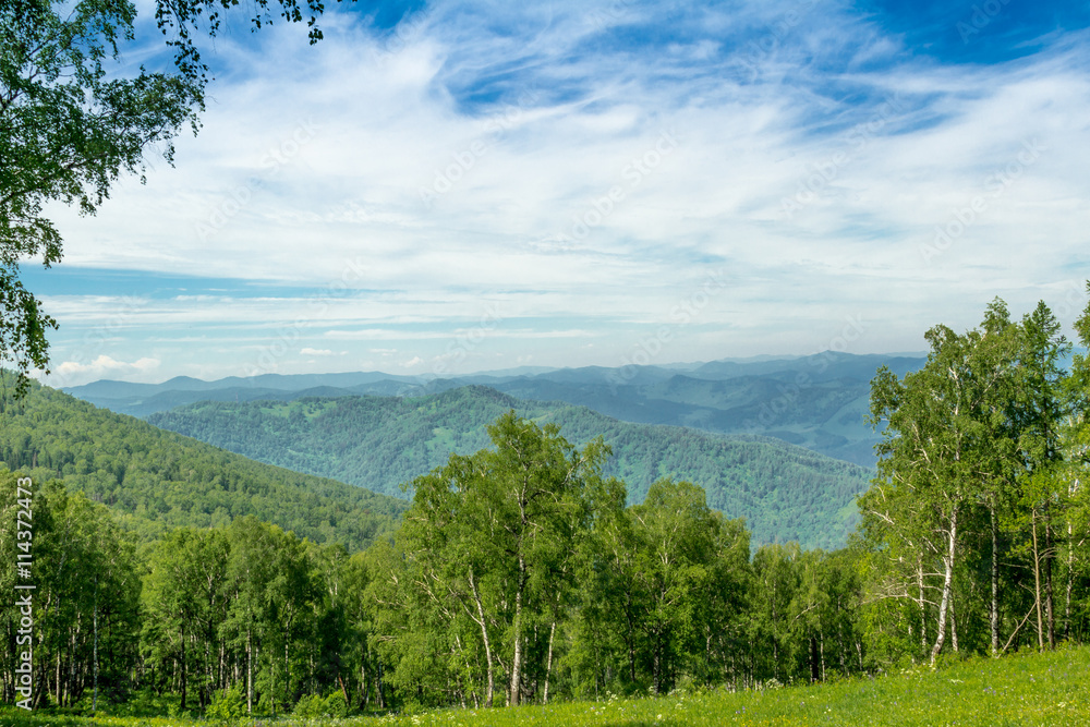 Altai Mountain in summer