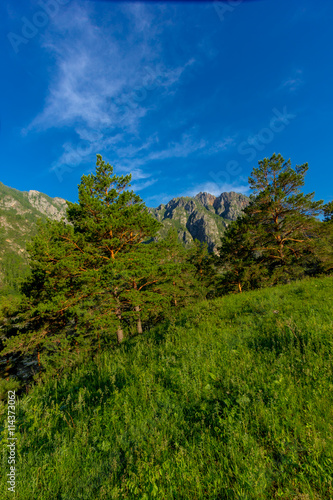 Altai Mountain in summer © ads861