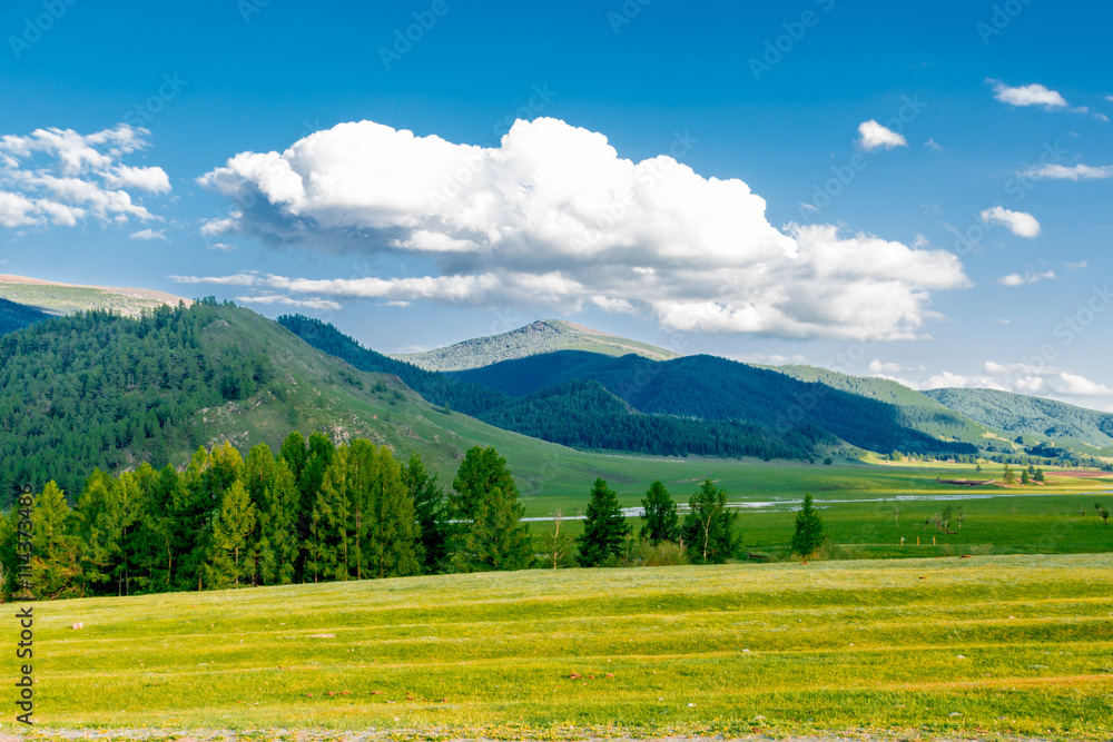 Altai Mountain in summer Altai Mountain in summer