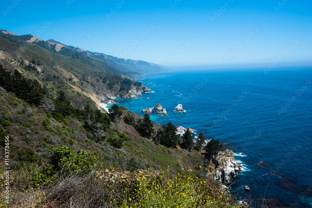 Scenic View of the California Coastline Pacific Highway 1