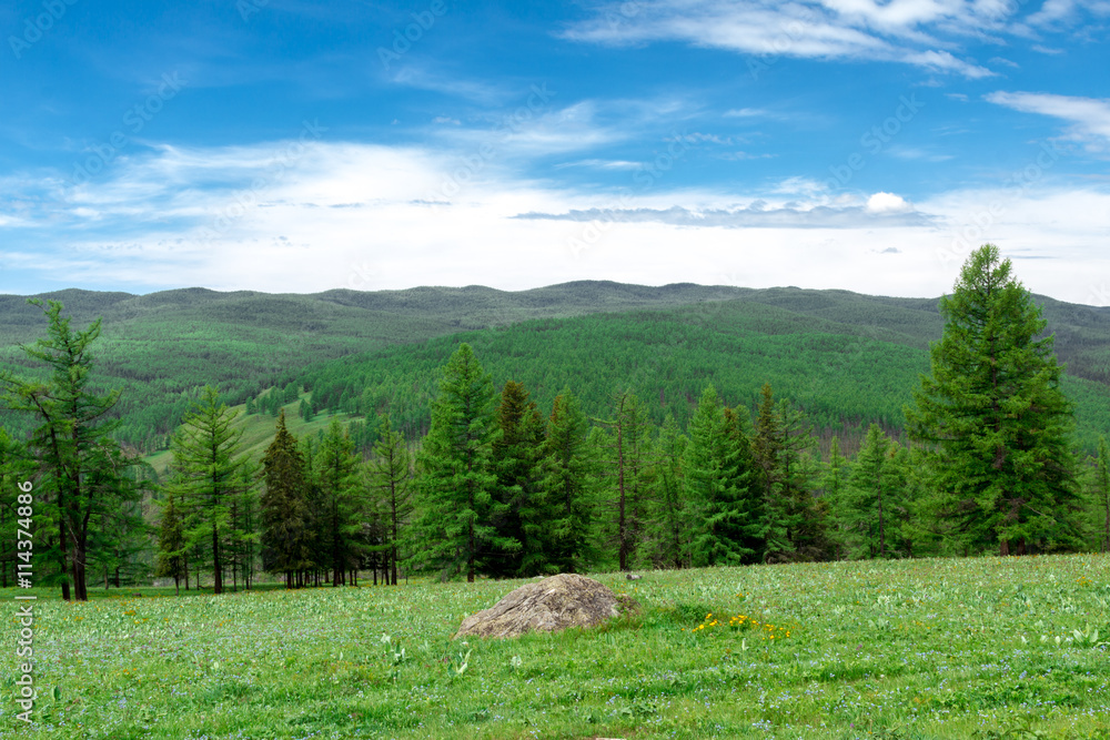 Fototapeta premium Altai Mountain in summer