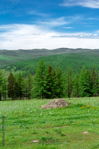 Altai Mountain in summer