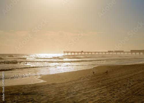 Daytona Beach in Florida with pier USA