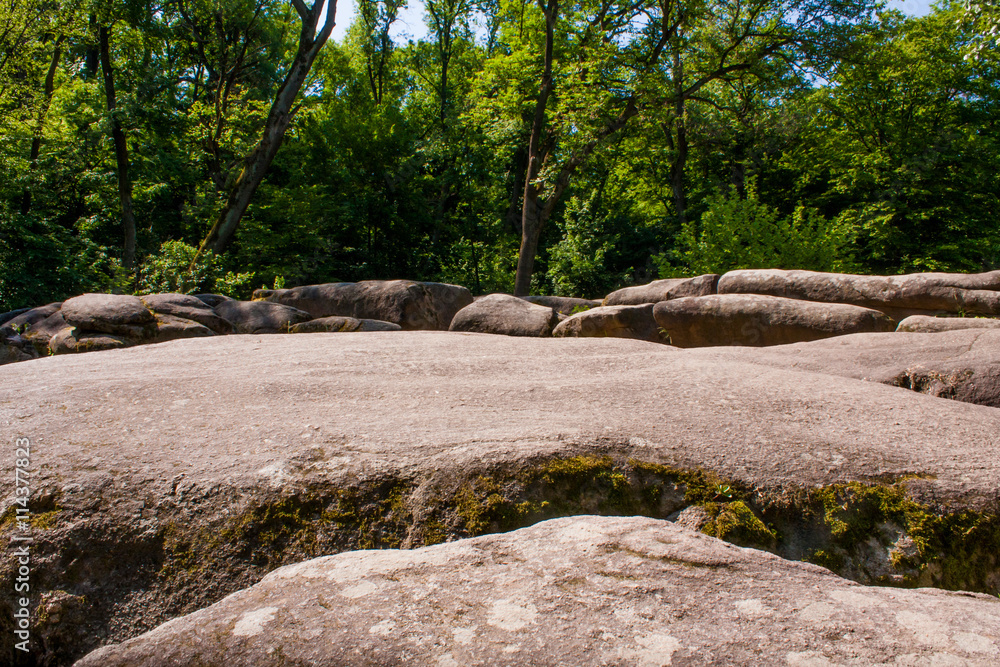 large stones in the park