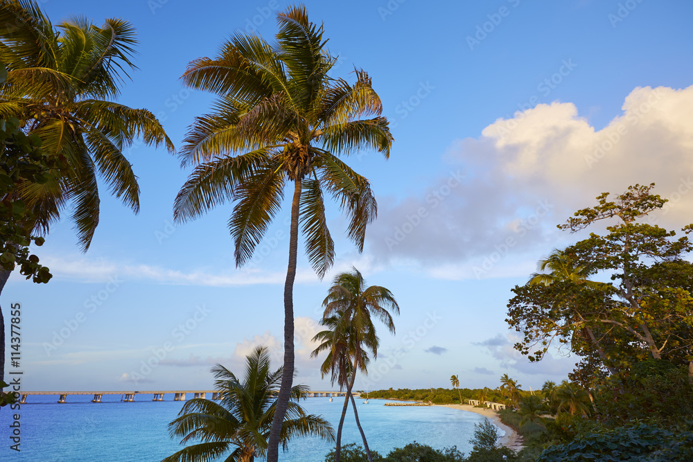 Obraz premium Florida Keys beach Bahia Honda Park US