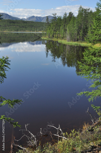 Landscape of the lake Sunny day. © sergunt
