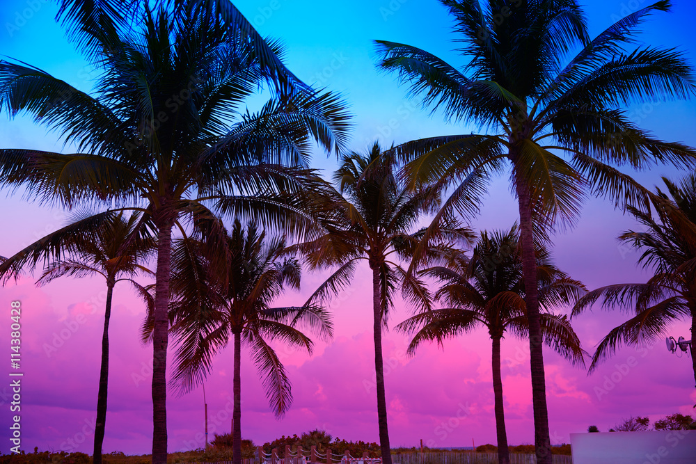 Obraz premium Miami Beach South Beach sunset palm trees Florida