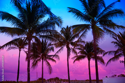Obraz na plátně Miami Beach South Beach sunset palm trees Florida