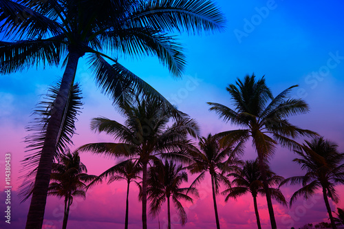 Miami Beach South Beach sunset palm trees Florida © lunamarina