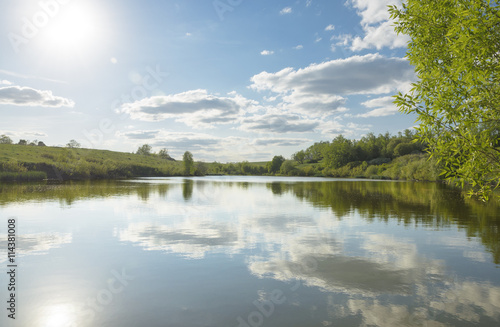 Sunny summer landscape