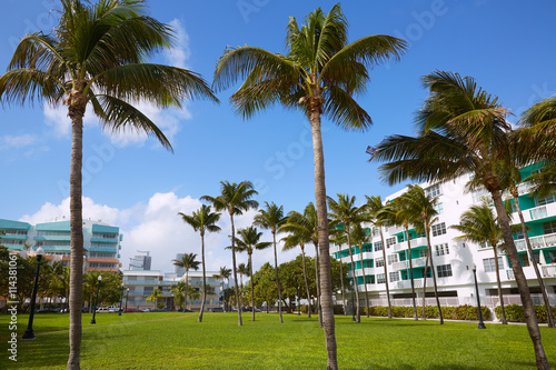 Miami south Beach palm trees park Florida