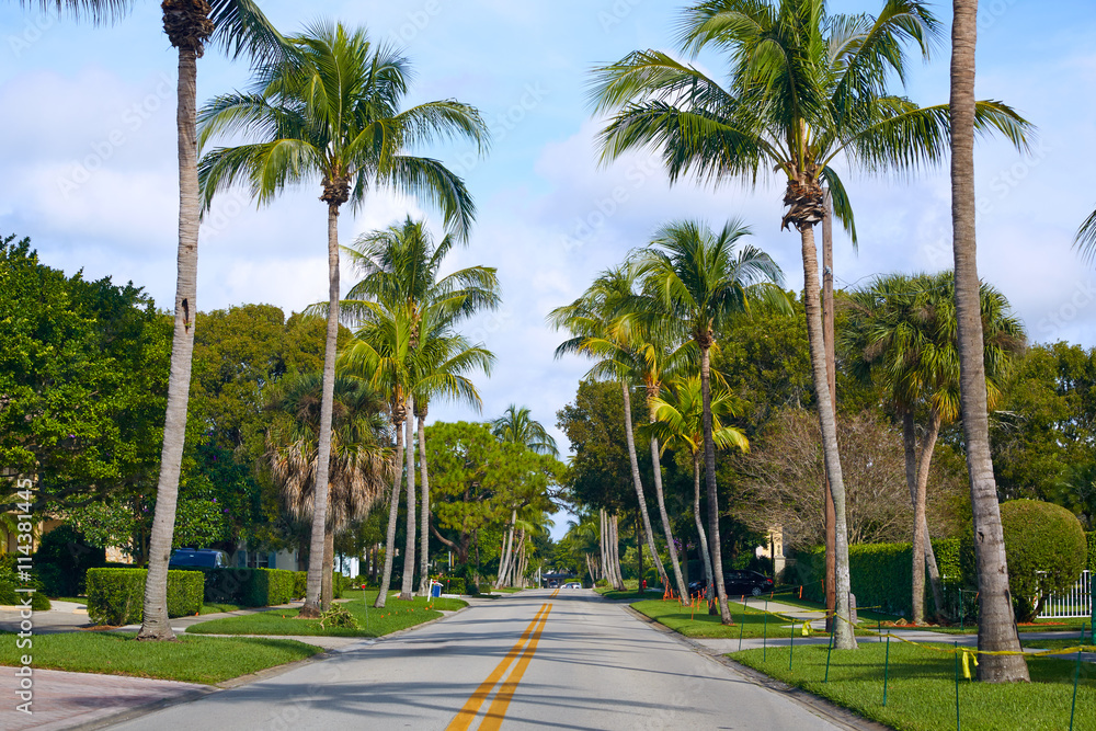 Naples beach streets with palm trees Florida US