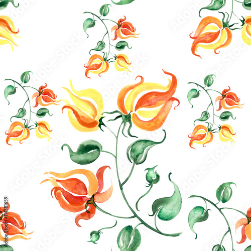 watercolor  pattern - vintage  red and orange flower on a branch  buds  leaves 