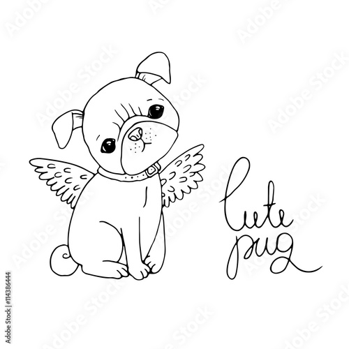 Cute Pug. Dog.