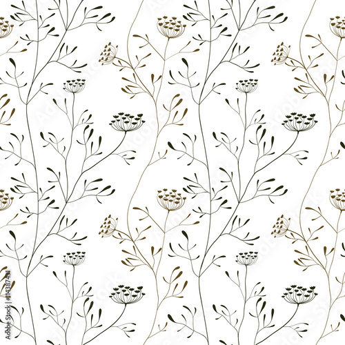 Cow parsnip seamless pattern on white backdrop