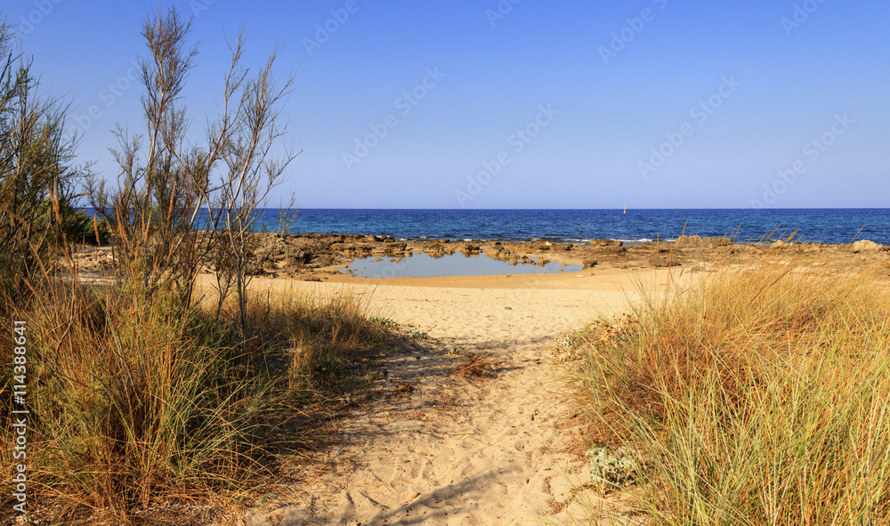 Summer seascape: Nature Reserve of Torre Guaceto.BRINDISI (Apulia)-ITALY-Mediterranean maquis: a nature sanctuary between the land and the sea.