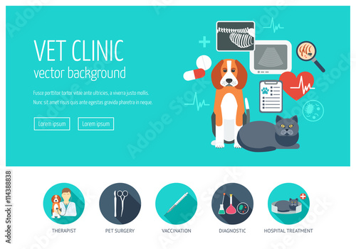 Vet clinic web design concept for website and landing page. Web banner. Flat design. Vector