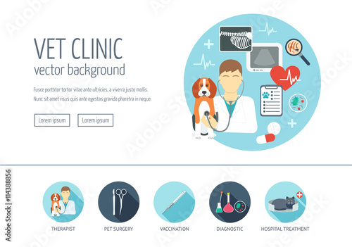 Veterinary clinic web design concept for website and landing page. Web banner. Flat design. Vector