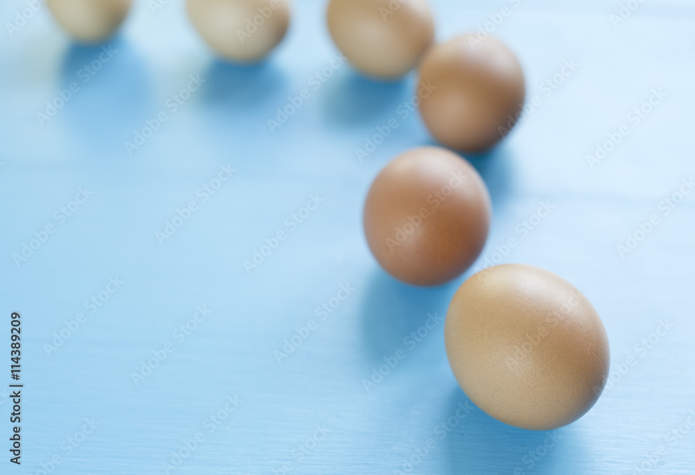 several eggs isolated