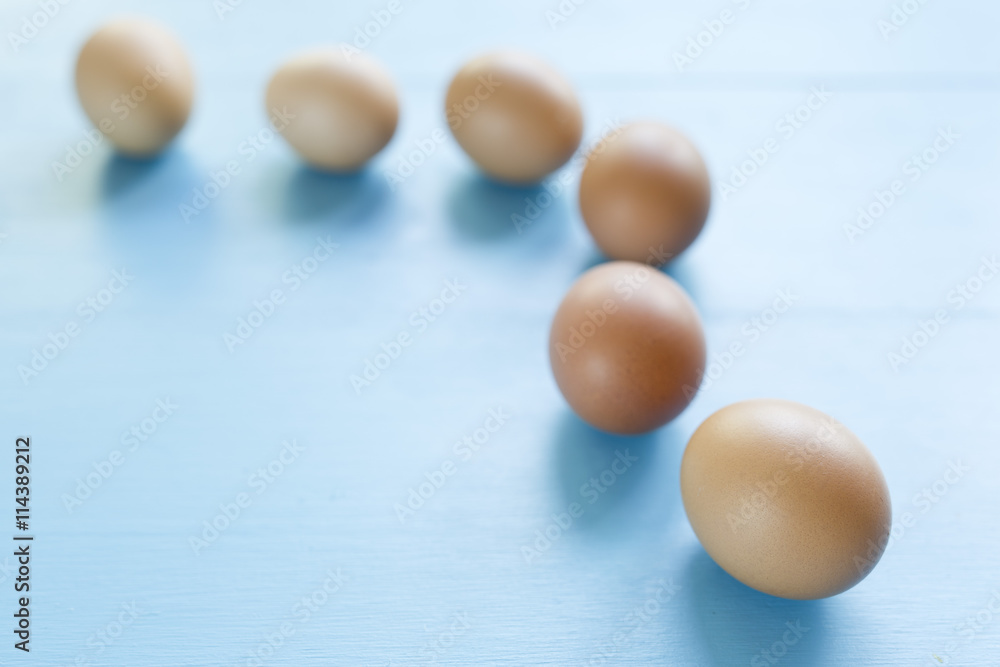 several eggs isolated several eggs isolated