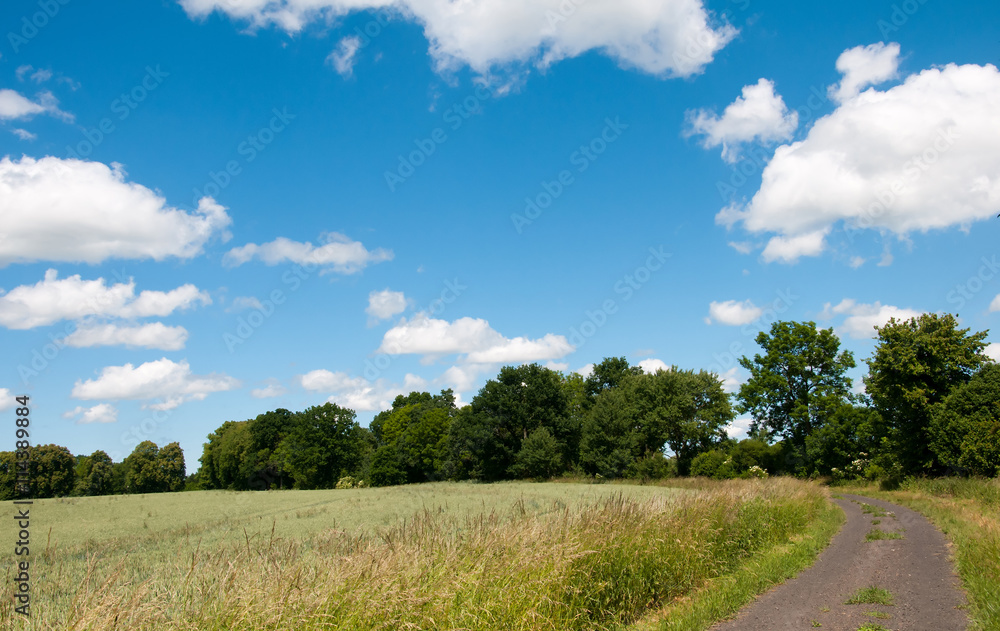 Country road through the fields Country road through the fields