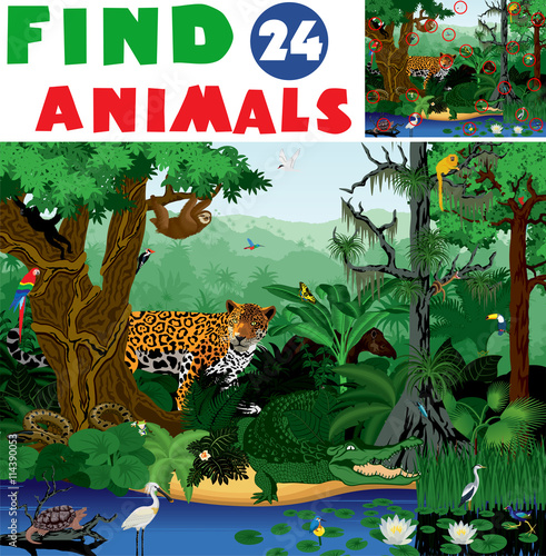 Vector Illustration find 24 rainforest animals
