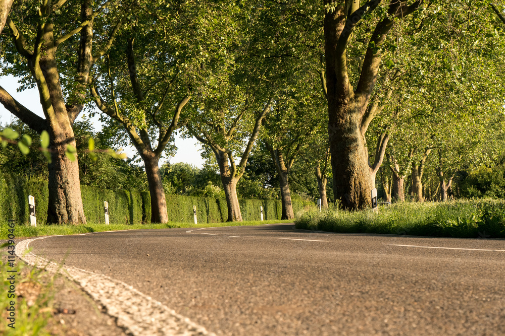 Alle im Sonnentuntergang