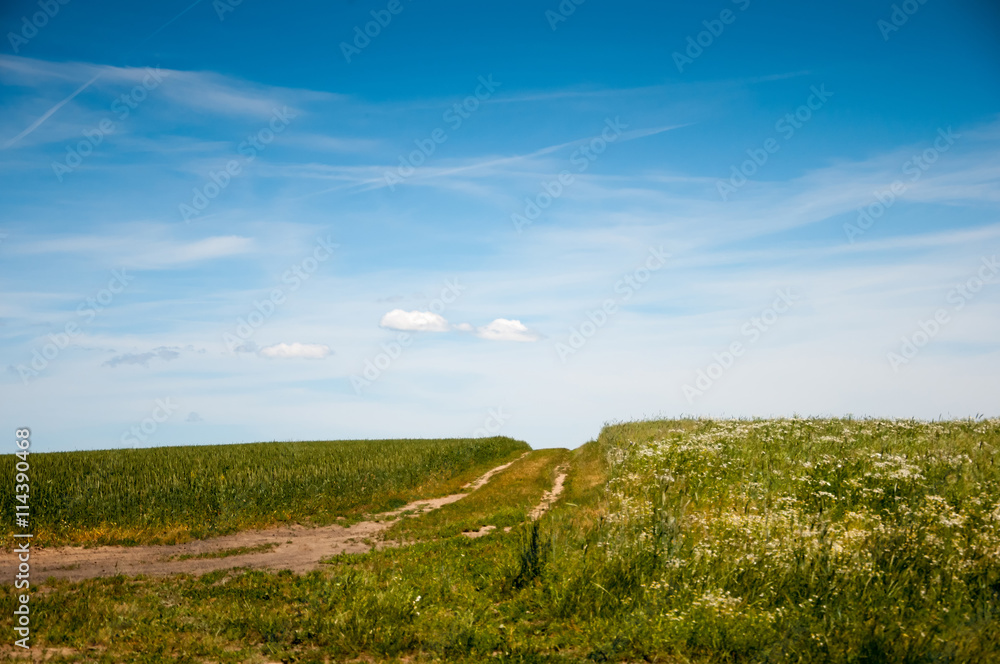Obraz premium Country road through the fields