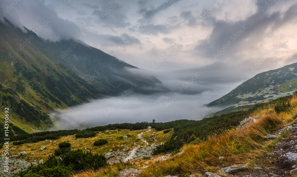 Fototapeta premium Mountains Landscape with Fog in Ziarska Valley