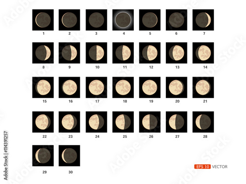 30 steps to take Lunar phases., vector eps 10