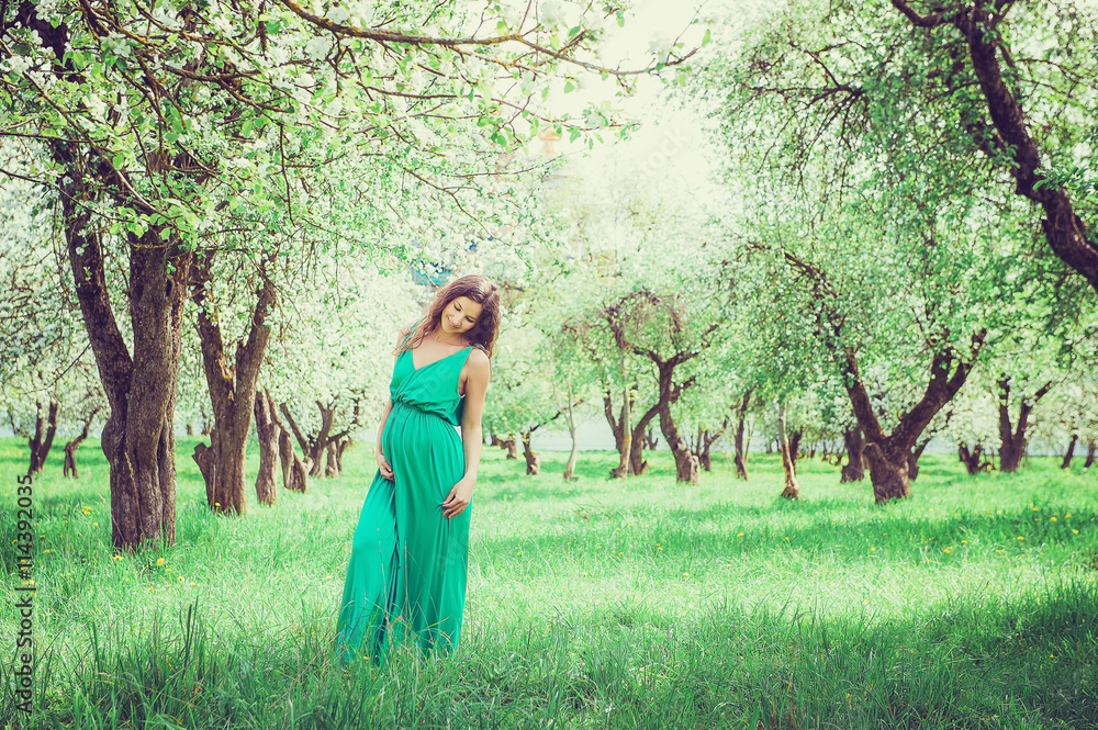 Pregnant beautiful woman in the apple orchard with a flower in her hair holding belly Pregnant beautiful woman in the apple orchard with a flower in her hair holding belly