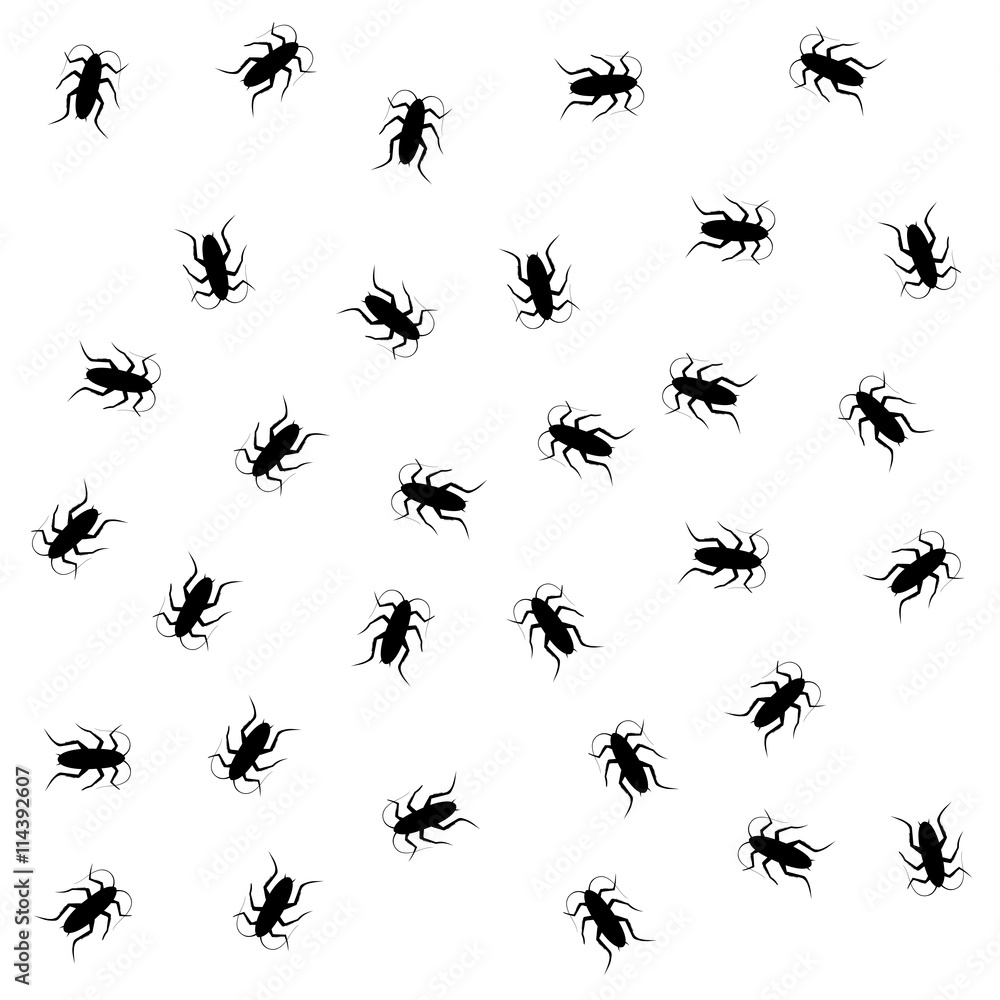insect pattern