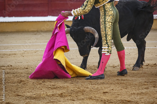 Torero toreando en la plaza. Tarde de toros. Fiesta Nacional.